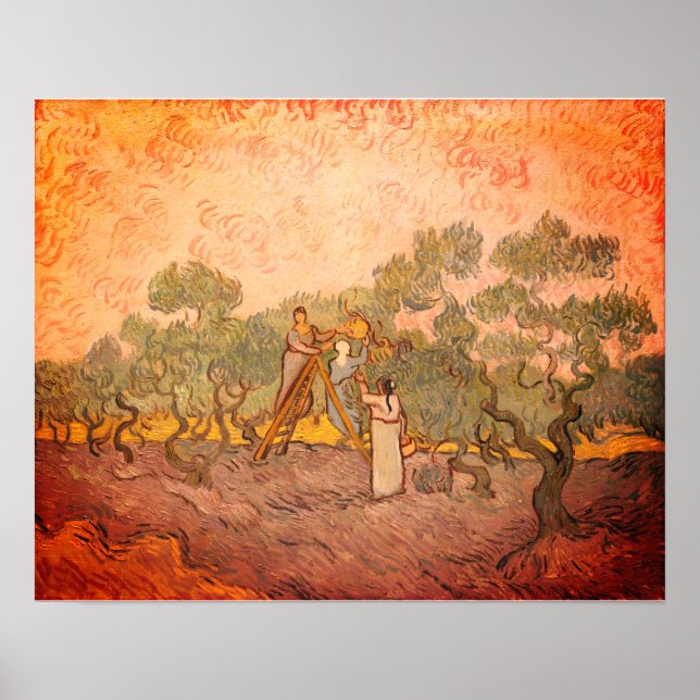 Póster Mujeres recogiendo aceitunas de van Gogh: (Frente)