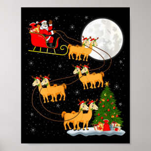 Póster Mujeres Santa Claus Trineo Volador Divertido Magos