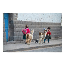 Mujeres y Alpacas, Cusco, Perú