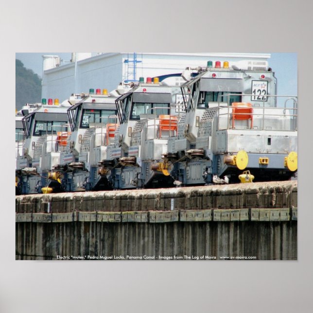Póster "Mulas" eléctricas, Pedro Miguel Locks, Canal de P (Frente)