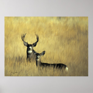 Póster Mule Deer en Bruselas