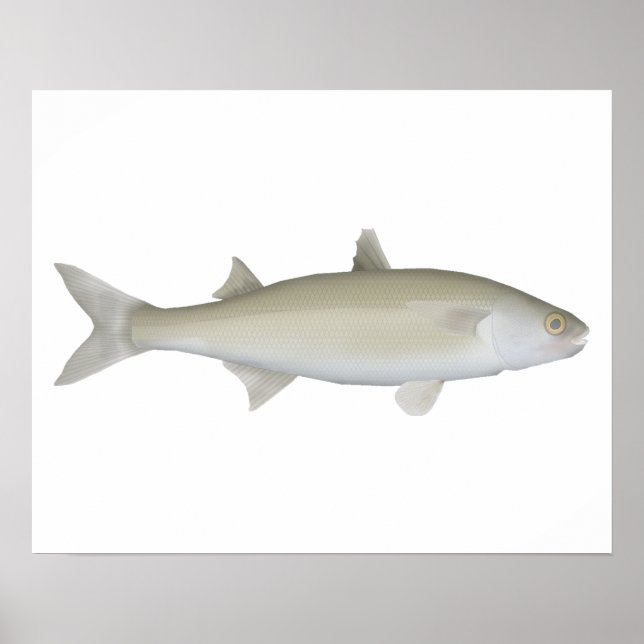 Póster Muleta de ojos amarillos (Frente)