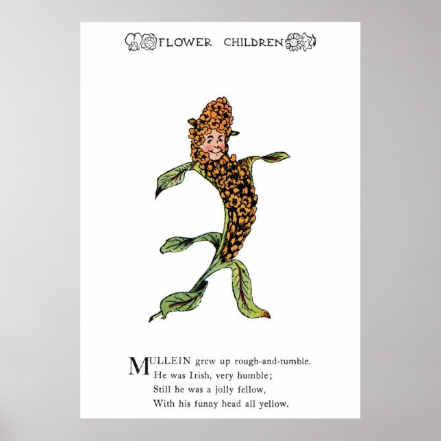 Póster Mullein (Frente)