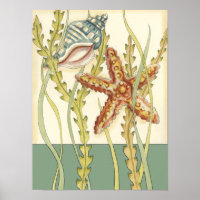 Multi-Color Shell Party