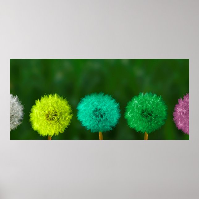 Póster multicolor de Dandelion (Frente)