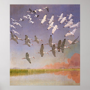 Póster Multitud de Ibis que vuela sobre los humedales,