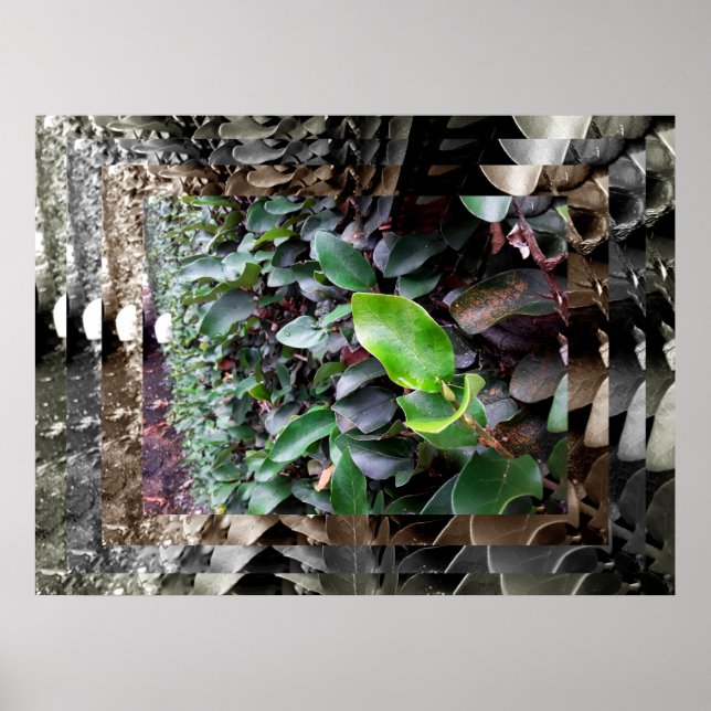 Póster murais (Frente)