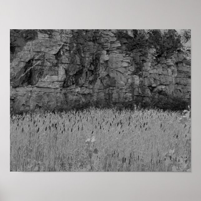 Póster Muro De Canto De Rock Captura 1 Negro Y Blanco (Frente)