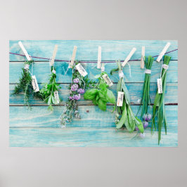 Póster Muro rústico de color turquesa vintage con hierbas