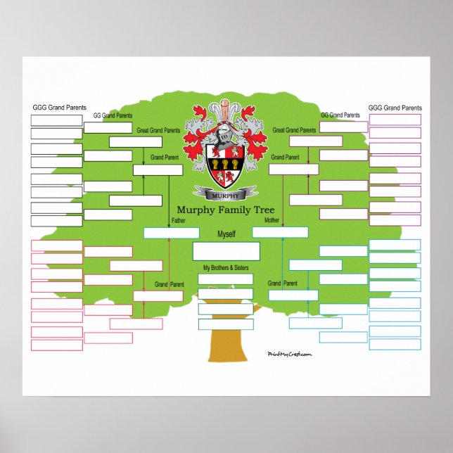Póster Murphy Family Tree (Frente)