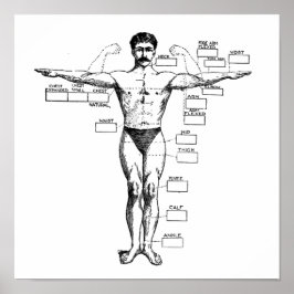 Póster Muscleman vintage de 1905