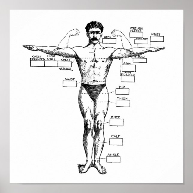Póster Muscleman vintage de 1905 (Frente)