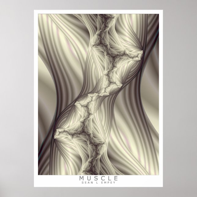 PÓSTER MÚSCULO (Frente)