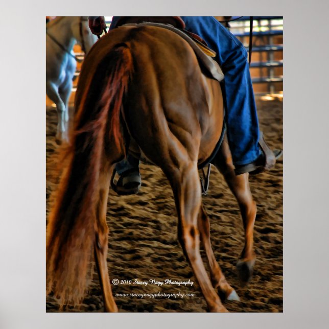 Póster Músculos (Frente)