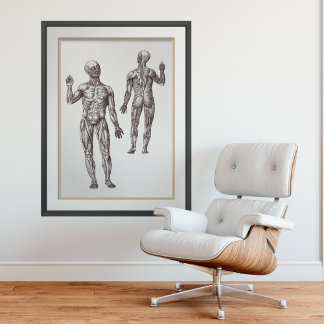 Póster Músculos Hombres Deportes Medicina Anatomía Humana