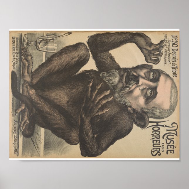 Póster Musee Des Horreurs Creepy Afiche de época francés (Frente)