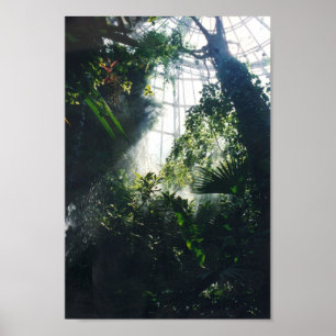 Póster Museo de Ciencia y Naturaleza de Houston