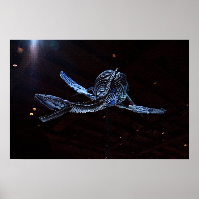 Póster Museo de Ciencias Naturales de Houston (Frente)