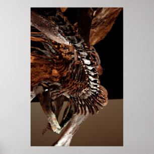 Póster Museo de Ciencias Naturales de Houston