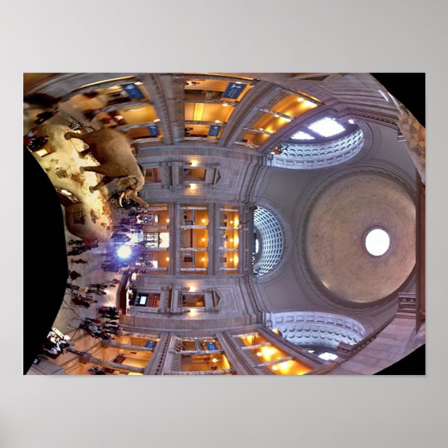 Póster Museo de Historia Natural (Frente)