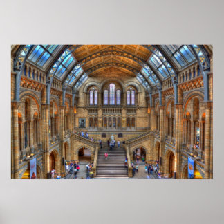 Póster Museo de Historia Natural