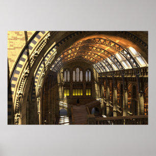 Póster Museo de la historia natural