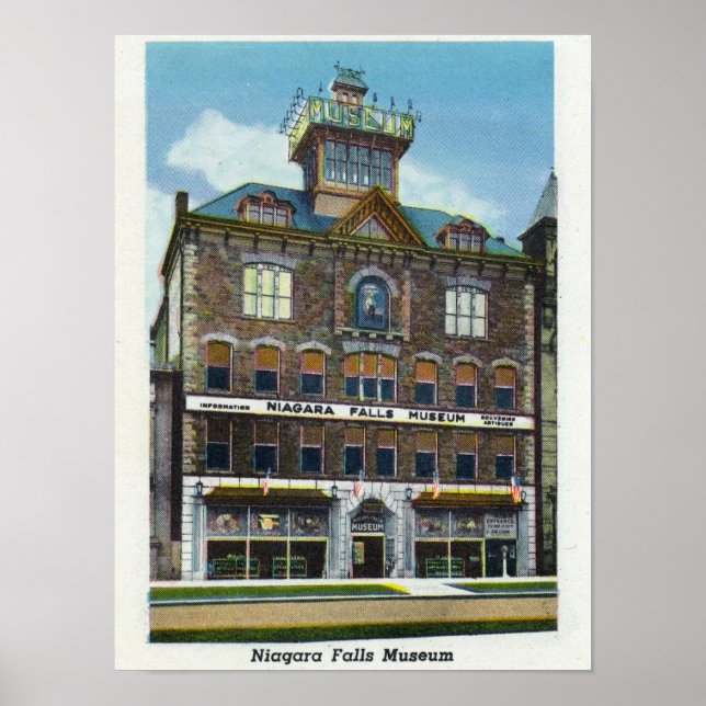 Póster Museo de las Cataratas del Niágara, vista de un ni (Frente)
