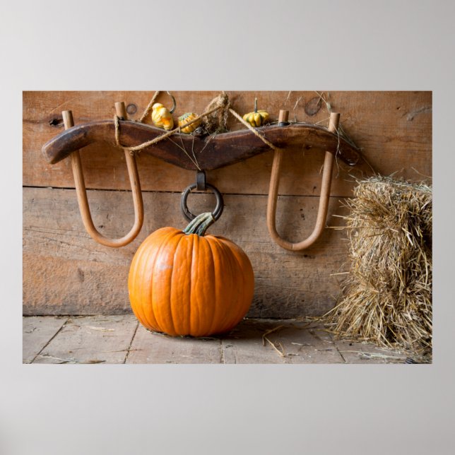 Póster Museo de los agricultores. Calabaza en granero con (Frente)