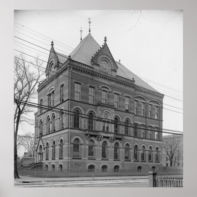 Póster Museo de Peabody (Universidad de Yale) (Frente)
