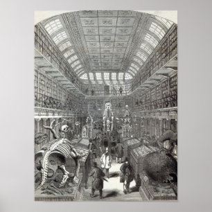 Póster Museo Hunteriano