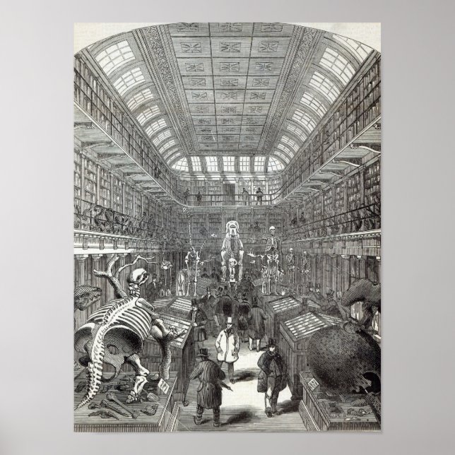 Póster Museo Hunteriano (Frente)