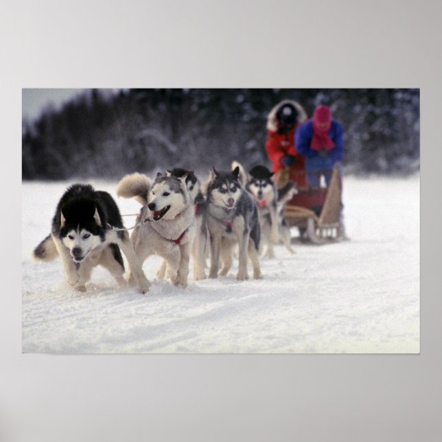 Póster Mush (Frente)