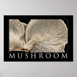 Póster Mushroom 2