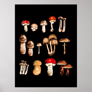 Póster Mushroom Picker Life