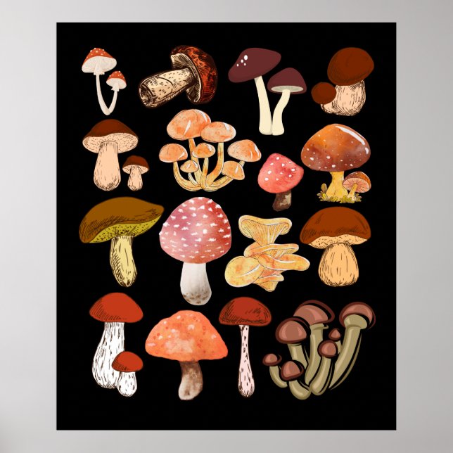 Póster Mushrooms Caza de hongos botánicos por micología (Frente)