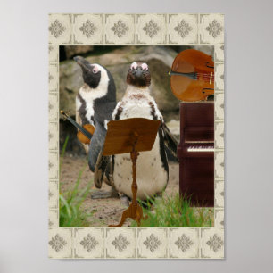 Póster Música de cámara de Pingüino