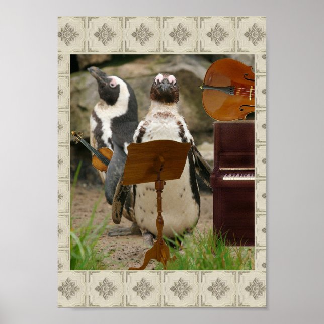 Póster Música de cámara de Pingüino (Frente)