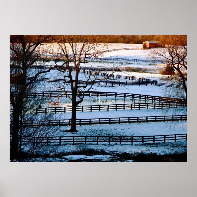 Póster Música de hoja (Frente)