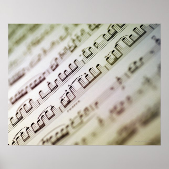 Póster Música de hoja 11 (Frente)