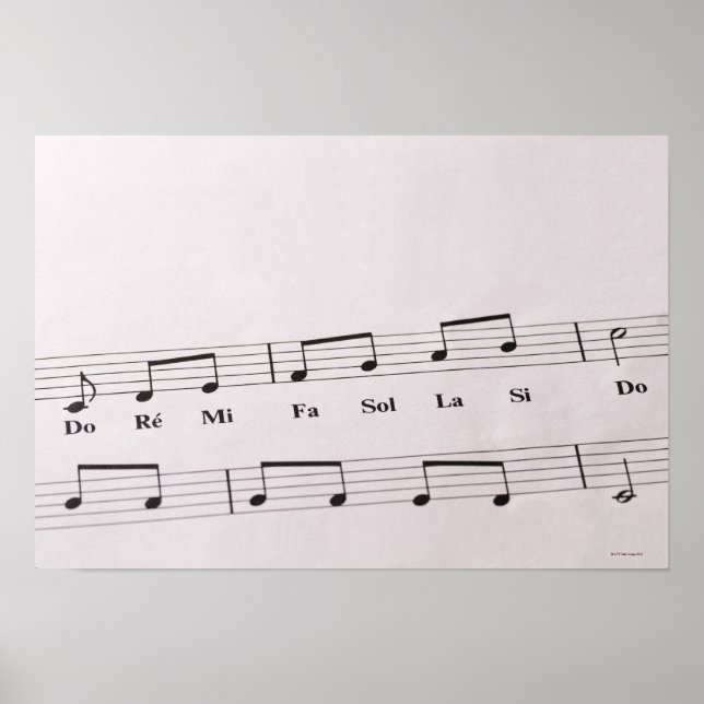 Póster Música de hoja detallada (Frente)