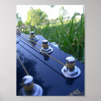 Póster Música en la naturaleza