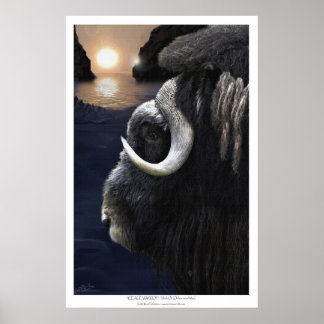 Póster MUSK OX & ARCTIC SUN Art Print