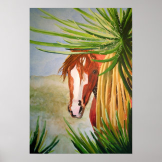 Póster Mustang del desierto en las Yucas