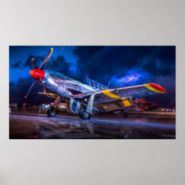 Póster Mustang en la oscuridad