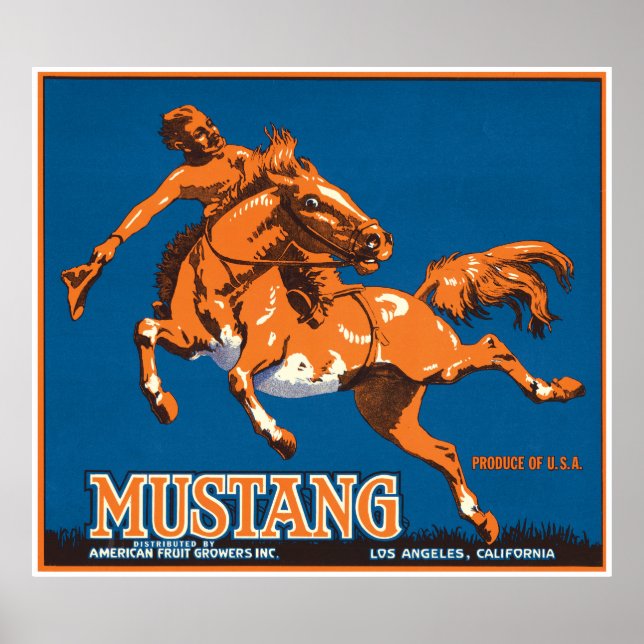 Póster Mustang Horse Cowboy Los Angeles California Estado (Frente)