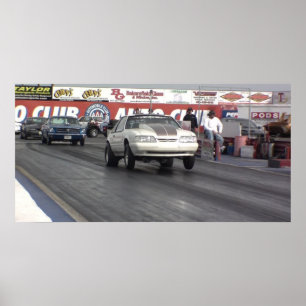 Póster Mustang Rules!