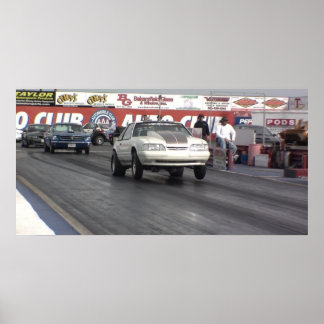 Póster Mustang Rules!