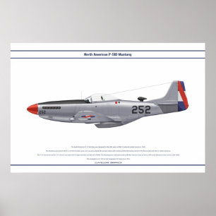 Póster Mustang Uruguay