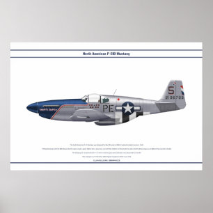 Póster Mustang USA 328FS 1