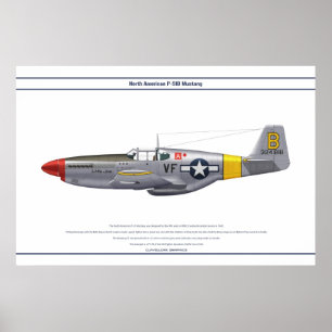 Póster Mustang USA 5FS 1